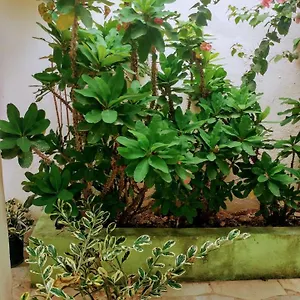  Apartamento Carla